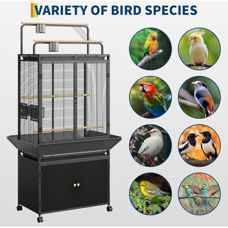 Cage à oiseaux de transport 25", Cage à oiseaux avec perchoir en bois sur le dessus, perroquets, conures, Volière légère et robuste (1/5)
