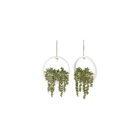 Plante succulente Artificielle à Suspendre - 20 cm - dans Un Pot en Bois - Décoration Murale intérieure et extérieure (Blanc, 2 pièces)-Crezuo
