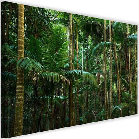 Tableau sur toile Palmiers Forêt Nature 60x40 (1/5)