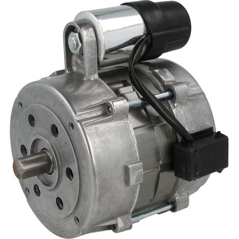 Moteur 110 W