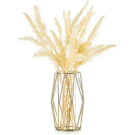 AGE Vase d'herbe, vase en verre doré avec support en métal géométrique, pot de fleurs décoratif scandinave, table centrale de bureau, trompette dorée de mariage (1/5)