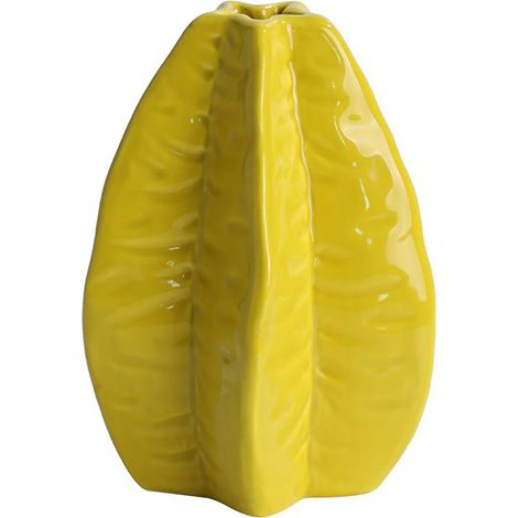 Vase En Céramique Starfruit Arrangement Hydroponique Décoratif Art Floral (1/5)
