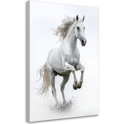 Toile Imprimée, Cheval blanc au galop,20x30 (1/4)