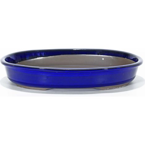 Vaso bonsai ovale smaltato blu 38 cm. (1/2)