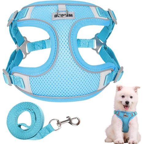 Hundegeschirr, reflektierend und atmungsaktiv, kleines Hundegeschirr, verstellbares Hundegeschirr aus Netzstoff für kleine, mittelgroße und große Hunde (blau, XL) (1/5)