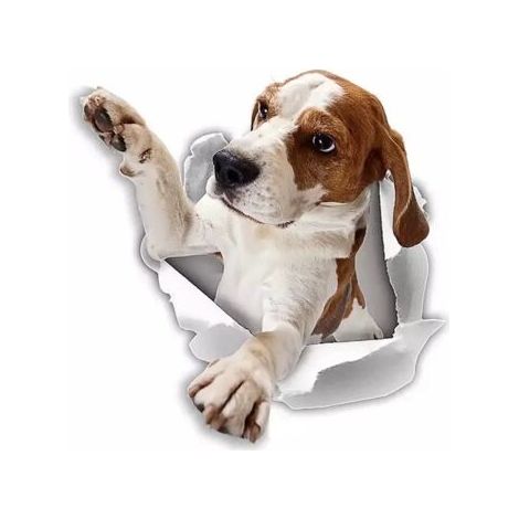 3D Hundeaufkleber - 2er-Pack - Erreichen Sie Beagle-Aufkleber für Wand, Kühlschrank, Toilette und weitere Beagle-Aufkleber 25 x 25CM (1/4)