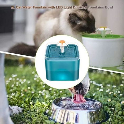 Fontaine à Eau - 2L - Distributeur Automatique - Filtre Remplaçable - Pompe Silencieuse (1/4)