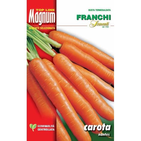 BUSTA MAGNUM SEMI DI CAROTA NANTES (1/2)