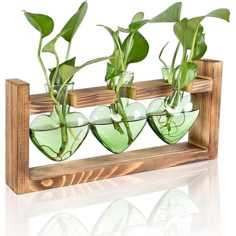 Plant Terrarium Propagation Stations Hydroponics Home Garden Decoration Gift for Women with Wooden Stand Heart Shaped Colored Glass Vase (1/5)