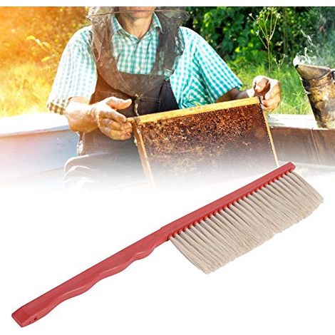 Brosse abeille une rangée – manche bois / plastique – nettoyage ruche – apiculteur