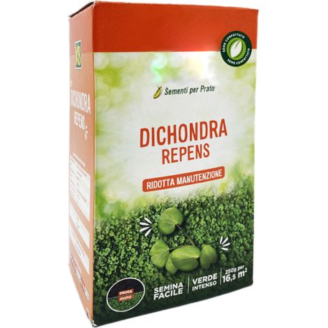 Semi per prato dichondra repens da 250g, semina per prato ad uso estetico ed aiuole - Copertura 16m² (1/5)