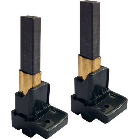 Balais de carbone avec support moteur Dyson YDK DC08 / DC11 / DC19 / DC20 / DC23 / DC37 (1/4)