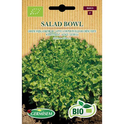 Graines Laitue à couper feuilles de chêne verte SALAD BOWL