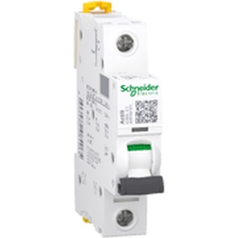 IC60L SCHNEIDER thermomagnetischer Schutzschalter 1P 1A 100kA 230V DC
