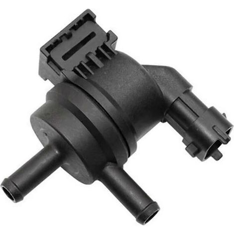 Soupape de purge du canister d'évaporation pour Accent Sedona Forte Soul 29010-02100 28910-3C200 (1/5)