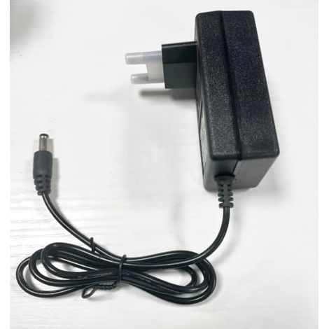Chargeur de Batterie 21V pour Secateur Electrique sans Fil, Chargeur de Batterie au Lithium de Remplacement pour Sécateur électrique, Mini tronçonneuse (1/3)