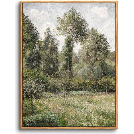Leinwandbild Holzrahmen 40x60 cm Wald Pappeln-Rahmen Holz 60L x 40B cm (1/5)