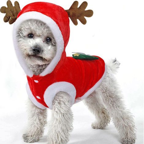 (L) Abiti natalizi per cani, gatti, costumi natalizi per cani, maglioni natalizi, cappotti con cappuccio, cappelli, vestiti per animali domestici, renne, divertenti costumi di Babbo Natale, cosplay (1/5)