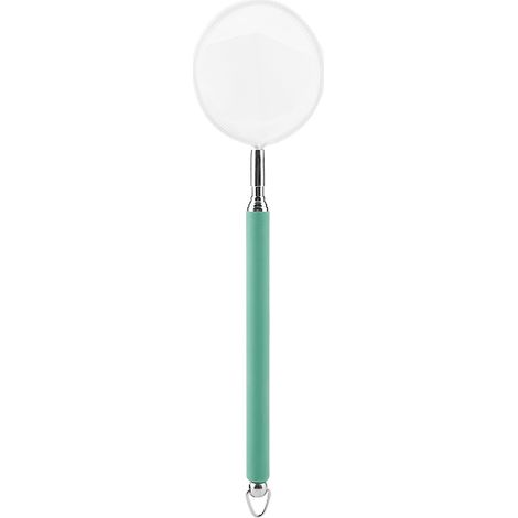 Filet d'écrémage télescopique extensible pour poissons et crevettes, pour aquarium et étang (rond vert) (1/5)