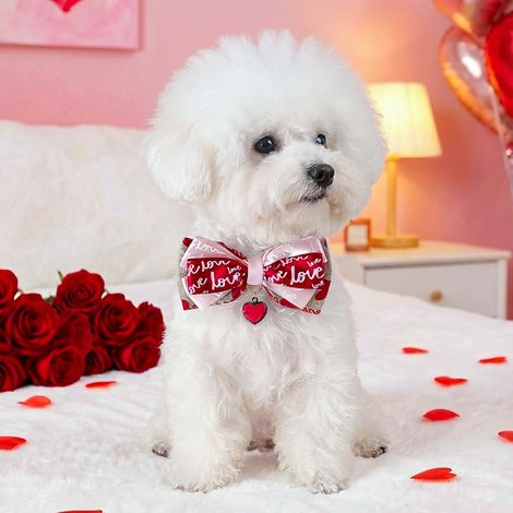 Filiyano-Nouveaux accessoires pour animaux de compagnie pour les fêtes : colliers, adorables chiots et chatons, accessoires, nœuds pour la (1/5)