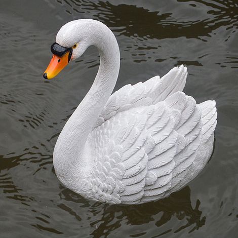 Cygne En Résine - Décoration Flottante Pour Bassin Et Jardin - Usage Extérieur Et Intérieur - 1 Pièce (1/2)