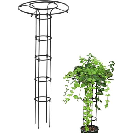 Gartenspalier Zimmerpflanze Aus Metall Stützrahmen
