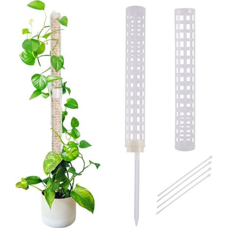 (Type 4) Tuteur en mousse de sphaigne pour plantes grimpantes - Support de croissance retenant l'eau et riche en engrais