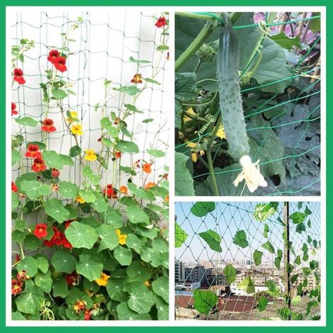 Treillis pour Plantes Grimpantes 3.6x1.8m - Maillage 10cm pour Concombres, Tomates, Légumes - Filet de Jardin Extérieur Vert (1/4)