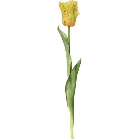 EVERLANDS Papagei-Tulpe Gelb & Grün Ø 6 cm 51 cm - Kunstblumen