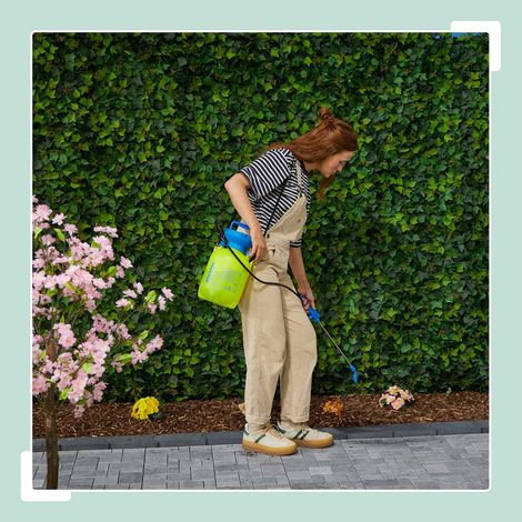 Garden Pressure Sprayer with Adjustable Lance (1/5)