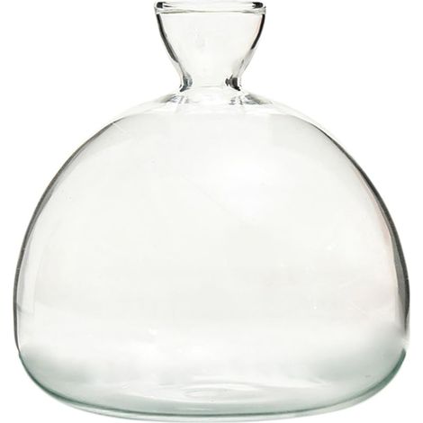 Jarrón de cristal para cultivar aguacates, maceta hidropónica para germinar jacintos, decoración del hogar, regalo para amantes de la jardinería.