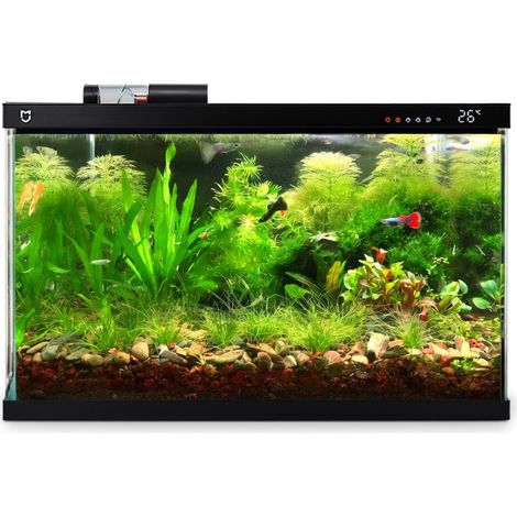Sable naturel pour aquarium purifiant 5 kg modèle 8 (1/5)