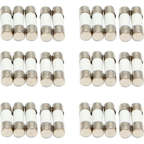 30Pcs 250V 0.5 A 500mA Rupture Rapide Tubes des Fusibles Ceramique 5 X 20 mm