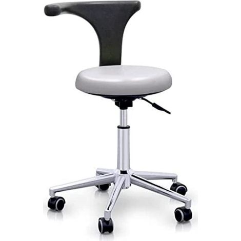 QUIRUMED Sgabello con Schienale Ergonomico Professionale, Colore Silver, Struttura in Acciaio Inox, Similpelle, Base con Ruote, Sedile Regolabile in Altezza, fino a 120 kg (1/4)