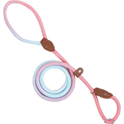 Laisse en nylon pour chien - Réglable anti-traction - Pour la course à pied, la marche, la plage, la randonnée, le camping - Accessoire de dressage compact - Équipement fiable pour la marche, la (1/5)