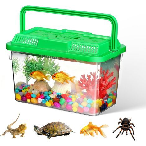 1 Aquarium Portable, Transparent Vert, Poignée Plastique ABS, Transport Poissons Tortues Hamsters (1/5)
