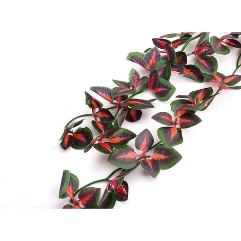 Edera rossa pendente, 40 cm, bellissimo aspetto naturale, ideale per terrari. (1/2)