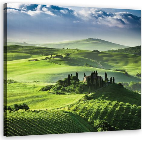 Image sur toile, Paysages - Vert - 60x60 (1/5)