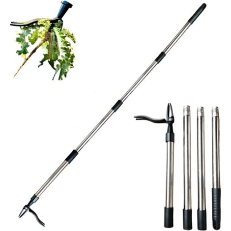 Lntyq Outil d'arrache-mauvaises herbes, outil de désherbage debout, extracteur de mauvaises herbes à long manche, arrache-racines détachable, outil de désherbage de jardin avec 4 griffes