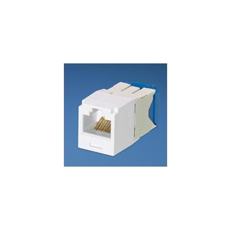 Panduit UTP RJ45 TG-MiniJack Cat6a White