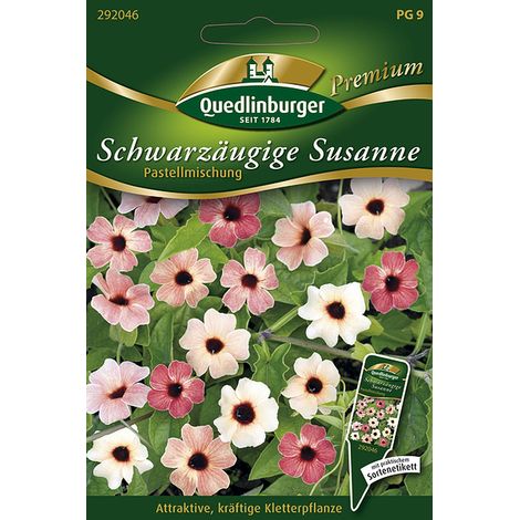 Quedlinburger Saatgut – Suzanne aux yeux noirs – Graines de fleurs, mélange pastel, 150 cm