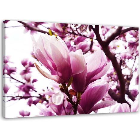 Tableau sur toile Magnolia rose 60x40 (1/5)