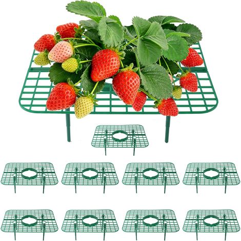 Lot de 10 - Support de fraisier - Cadre carré - Surélève les fruits hors du sol - Réutilisable pour jardin et potager - Vert - 20x20cm (1/5)