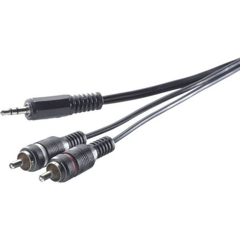 Câble adaptateur Speaka Pro 3.5 mm / 2 fiches mâles RCA 5 m SpeaKa Professional SP-7869916 [2x Cinch-RCA mâle - 1x Jack mâle 3.5 mm] 5.00 m noir R841401 (1/2)