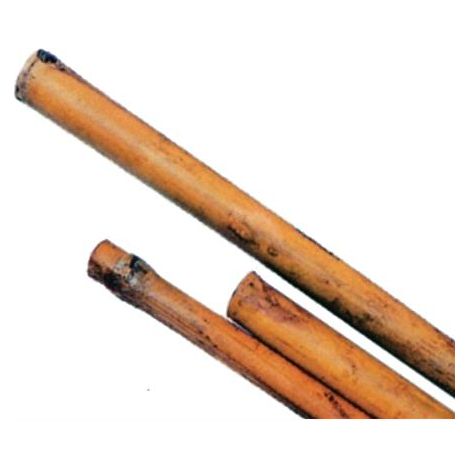 Canne In Bamboo H210 Cm. Diam. 22/24 Mm. Conf. 25Pz (1/3)