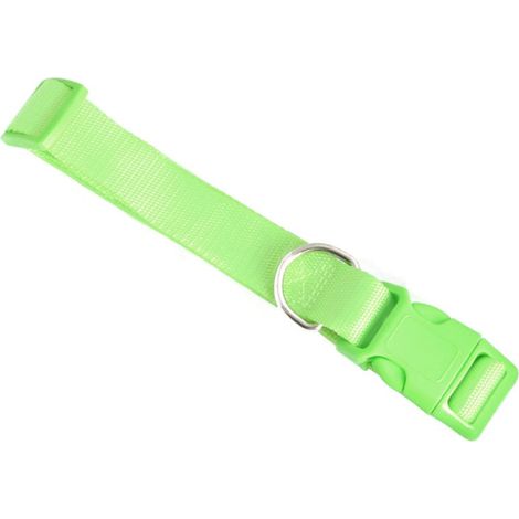 Strapazierfähiges grünes Haustierhalsband mit verstellbarer Länge (1/4)