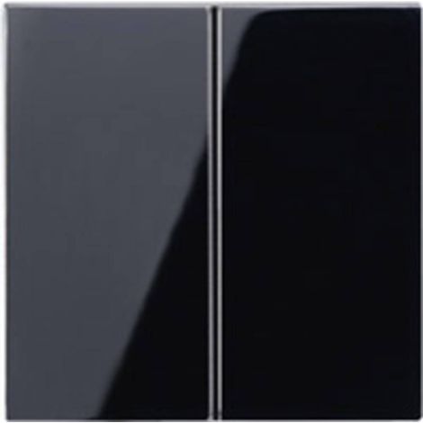 Jung Bascule 2 gangs, duroplastique, série A, schwarz A 595 SW (1/2)