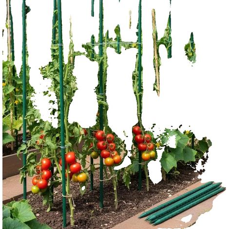 Supporto per piante, altezza 1,7 m, set da 15 pezzi, verde militare. (1/2)