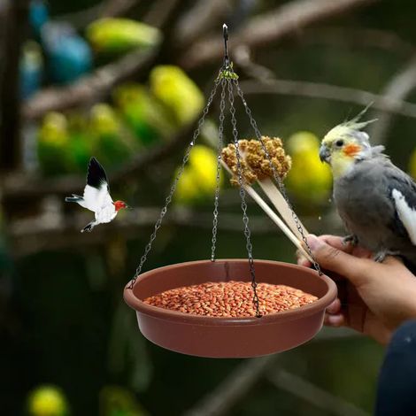 Mangeoire et Fontaine pour Oiseaux Suspendue en Plastique - Tasseau Extérieur - Grand Plateau Circulaire (30.5 cm) - Chaîne de 40 cm - Marron (1/5)