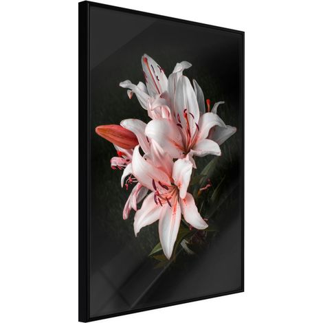 Affiche Murale Encadrée "Pale Pink Lilies" 21 x 30 cm Noir